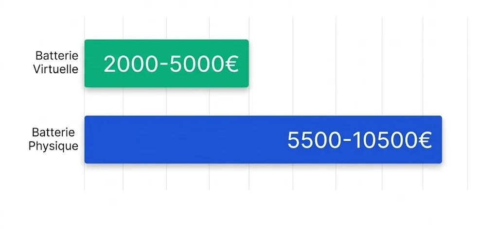 Comparatif prix batterie virtuelle vs physique sur 10 ans - ROI